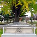 Andrew Abell Photo 8