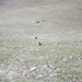 Robin Calhoun Photo 20