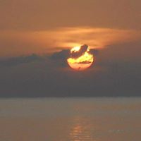 Susan Plummer Photo 29