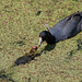 Barbara Coots Photo 6