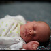 Megan Macdonald Photo 20