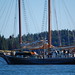 Stephen Tabor Photo 14