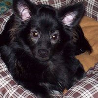 Judy Hooker Photo 24
