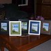 Sandra Crouse Photo 6