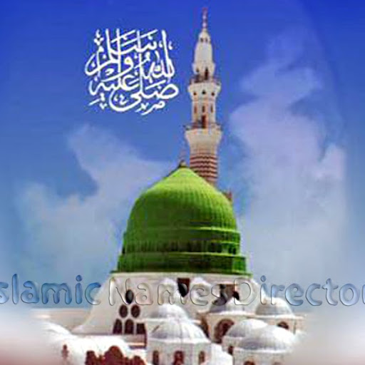 Mohammad Ashfaq Photo 16