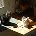 Kay Cooper Photo 7