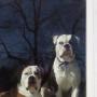 Karen Ward Photo 24