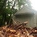 Deborah Needham Photo 13