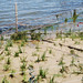Michael Plant Photo 18