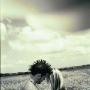 Rebecca Lanning Photo 15