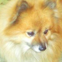Diane Fields Photo 22