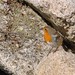 Robin Lang Photo 8