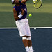 Ronald Haas Photo 13