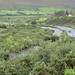 Kerry Day Photo 29