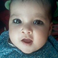 Sajjad Syed Photo 31