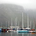 Misty Simon Photo 33