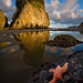 Kevin Pieper Photo 10