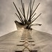 Edward Dorman Photo 3