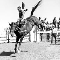 Lyle Smith Photo 35