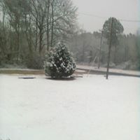 David Coker Photo 21