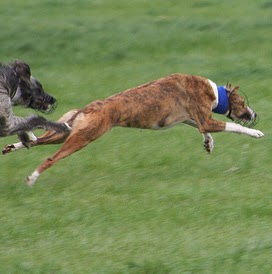 Jim Connors Photo 20