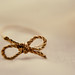 Erin Ring Photo 15