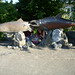 Amy Parker Photo 29