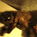 Lynn Lacy Photo 23
