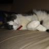 Cheryl Jones Photo 20