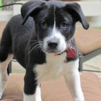 Laura Mccarter Photo 15