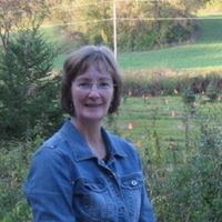 Peggy Halverson Photo 13