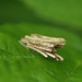 Ruth Rauch Photo 8