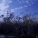 Curt Marsh Photo 8