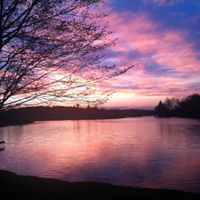 Carol Puckett Photo 15