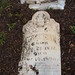 Phyllis Greene Photo 9