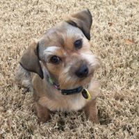 Ginger Benson Photo 23