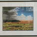 Barbara Plummer Photo 14