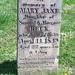 Jane Buck Photo 11