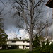 Clarence Hill Photo 14