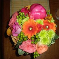 Beth Mcknight Photo 10