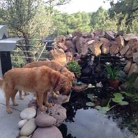 Ruth Boyer Photo 24