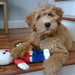 Bill Riley Photo 4
