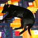 Michelle Jaeger Photo 21