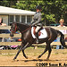 Mary Canter Photo 25