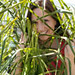 Tyler Small Photo 8