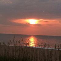 Valerie Harrell Photo 19