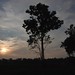 Rickey Fuller Photo 22