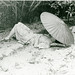 Anne Hunt Photo 27