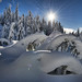 Tim Shields Photo 37