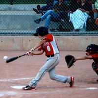 Brad Ross Photo 8